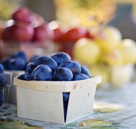 Exploring Fresh Finds at Jaco’s Farmers Market