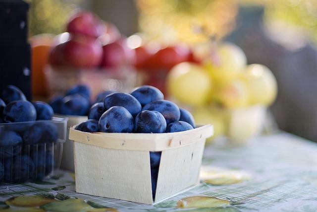 Exploring Fresh Finds at Jaco’s Farmers Market