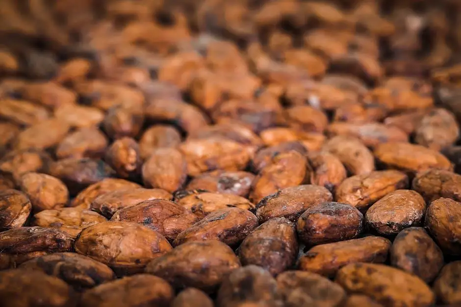 Brewing and Savoring the Richness of Costa Rican Coffee