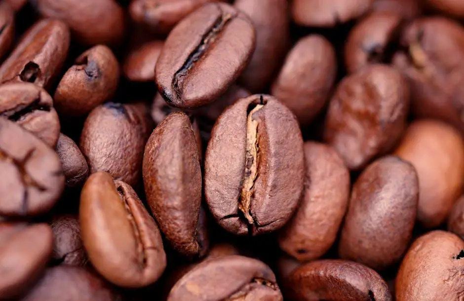 Mastering the Art of Brewing Costa Rican Coffee