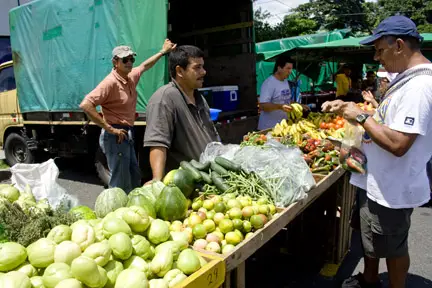 Costa Rica Farmers Market 2