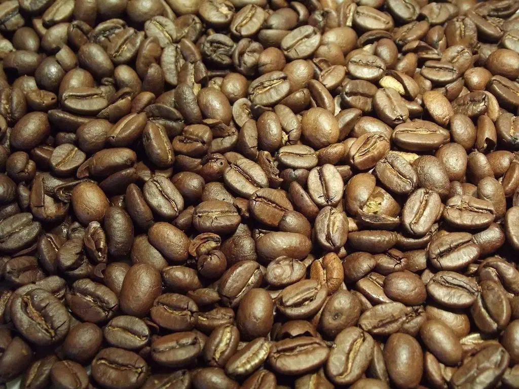 Journey of Flavor: Costa Rican Coffee from Plantation to Palate