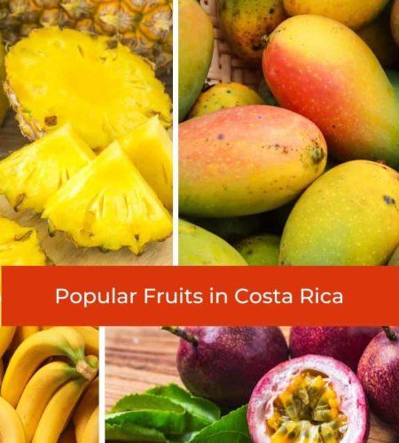 Exotic Eats: Delectable Costa Rican Fruit Recipes