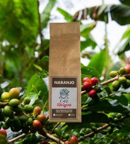 Exploring the Rich Flavors of Costa Rican Coffee
