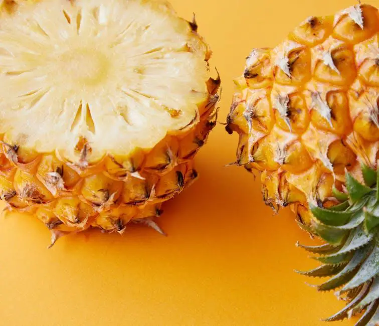 Tropical Delights: Pineapple and Mango Sauces Explained