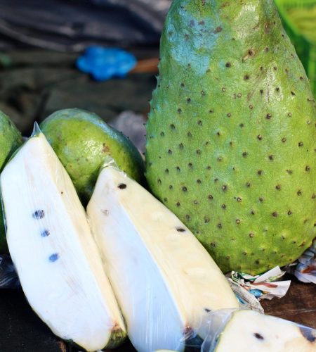 Tropical Temptations: Costa Rican Fruit Fiesta Recipe Collection