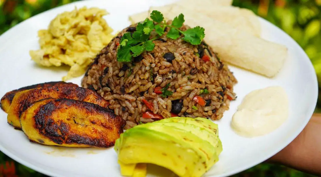 Mastering the Art of Costa Rican Gallo Pinto