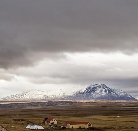 Delve into the Rich Flavors of Authentic Icelandic Fare